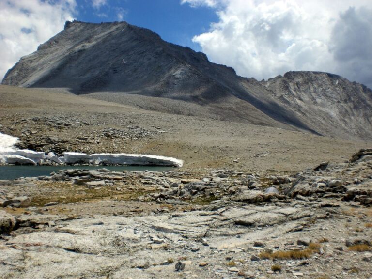 The Ultimate Guide to Cannabis Flour